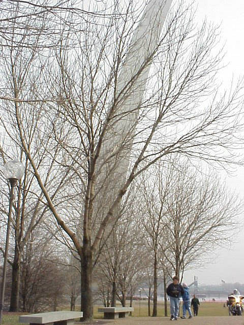 St. Louis arch in winter