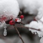 heating company in st louis