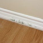 mold problem